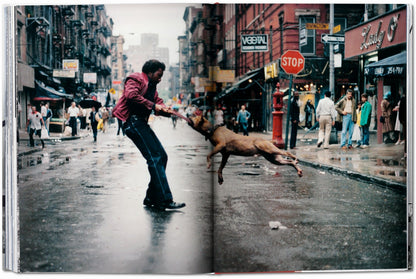 New York. Portrait of a City (German, French, English) Book