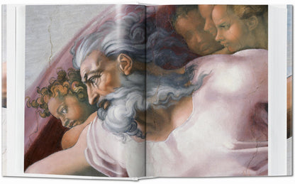 Michelangelo. Paintings, Sculptures and Architecture (English) Book