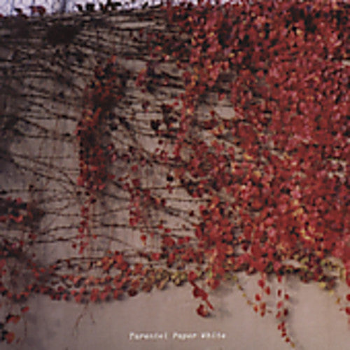 Tarentel - Paper White - Music CD