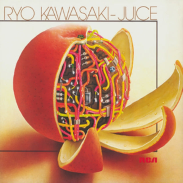 Ryo Kawasaki - Juice Music CD