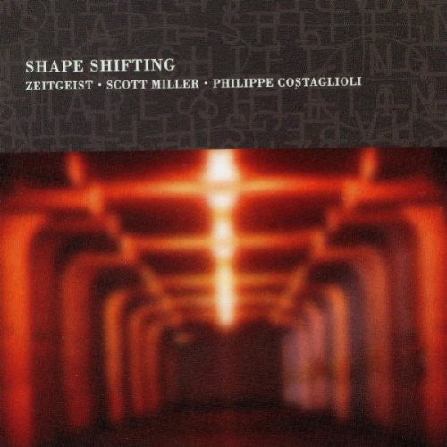 Zeitgeist - Shape Shifting - Music CD