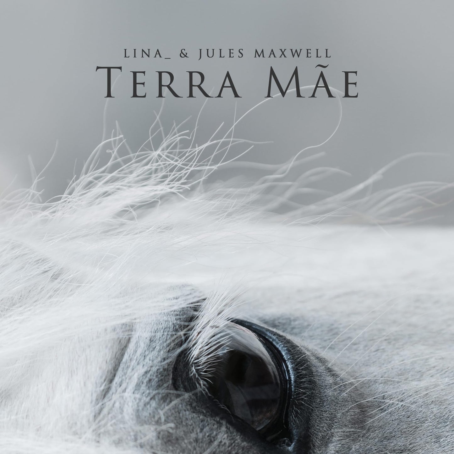 Lina - Terra Mae (Uk) [LP] Vinyl Record Album Cover