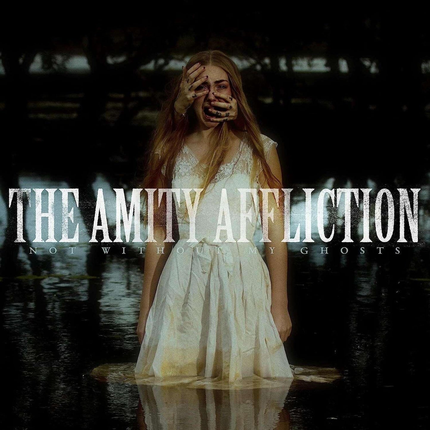 Amity Affliction - Not Without My Ghosts (Aus) [LP] Vinyl Record Album Cover