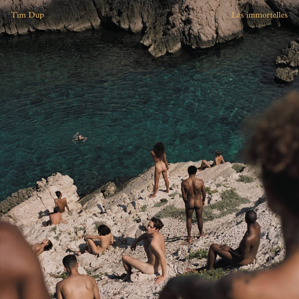 Tim Dup - Les Immortelles (Ger) [LP] Vinyl Record Album Cover