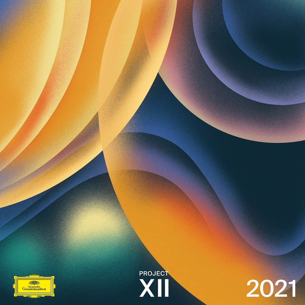 Project Xii 2021 / Various - Project Xii 2021 / Various [LP] Vinyl Record Album Cover