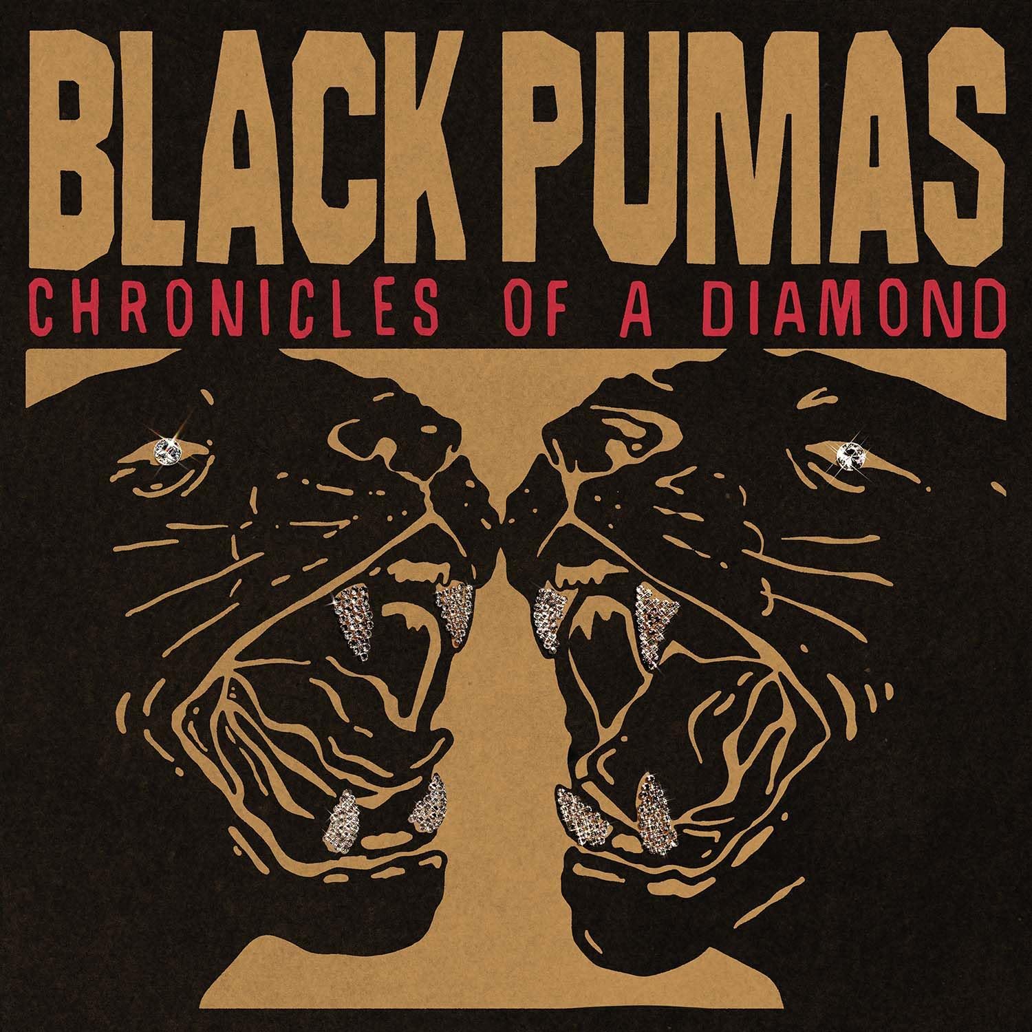 Black Pumas - Chronicles Of A Diamond [LP] Vinyl Record Album Cover