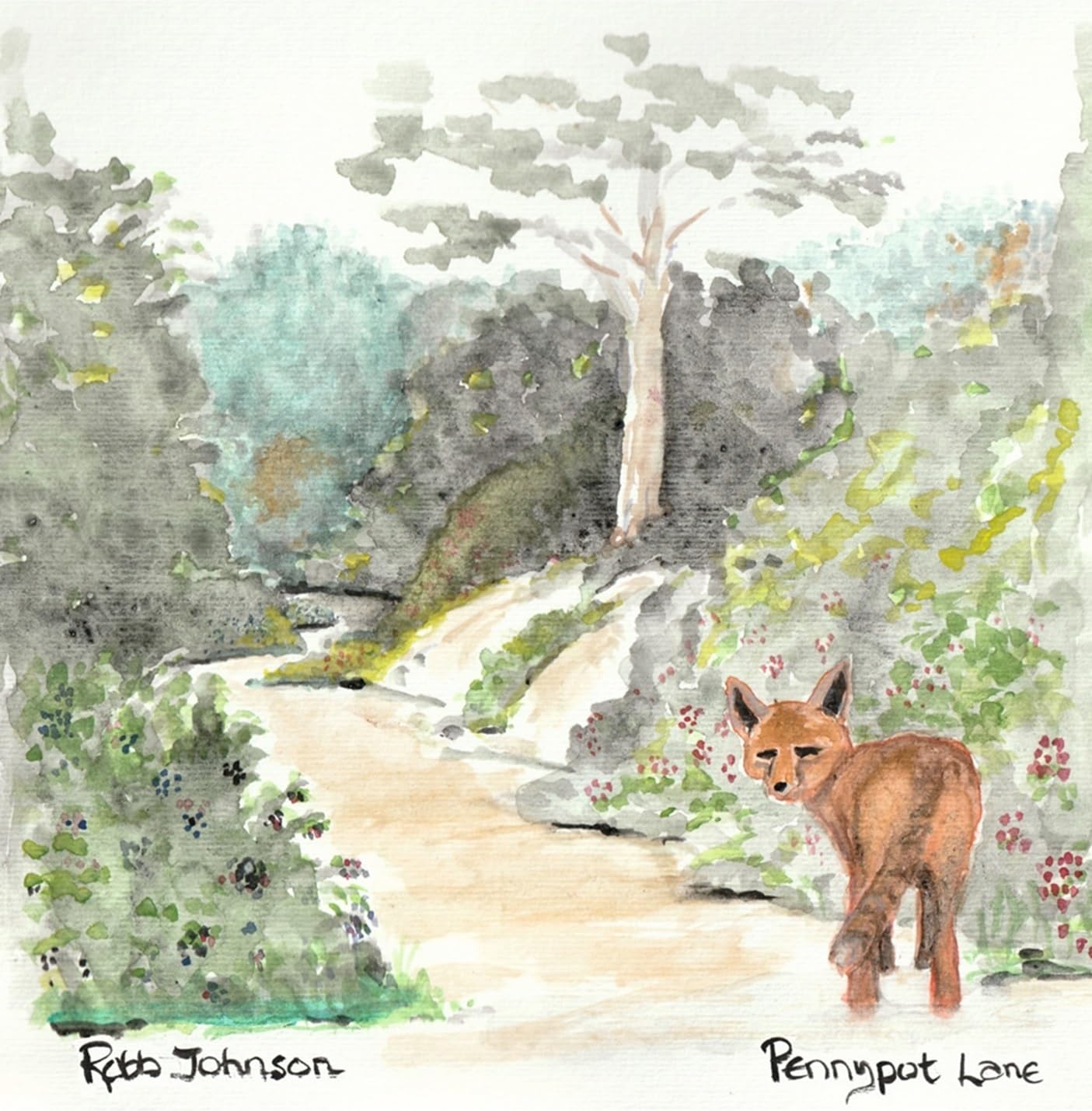 Robb Johnson - Pennypot Lane [LP] Vinyl Record Album Cover