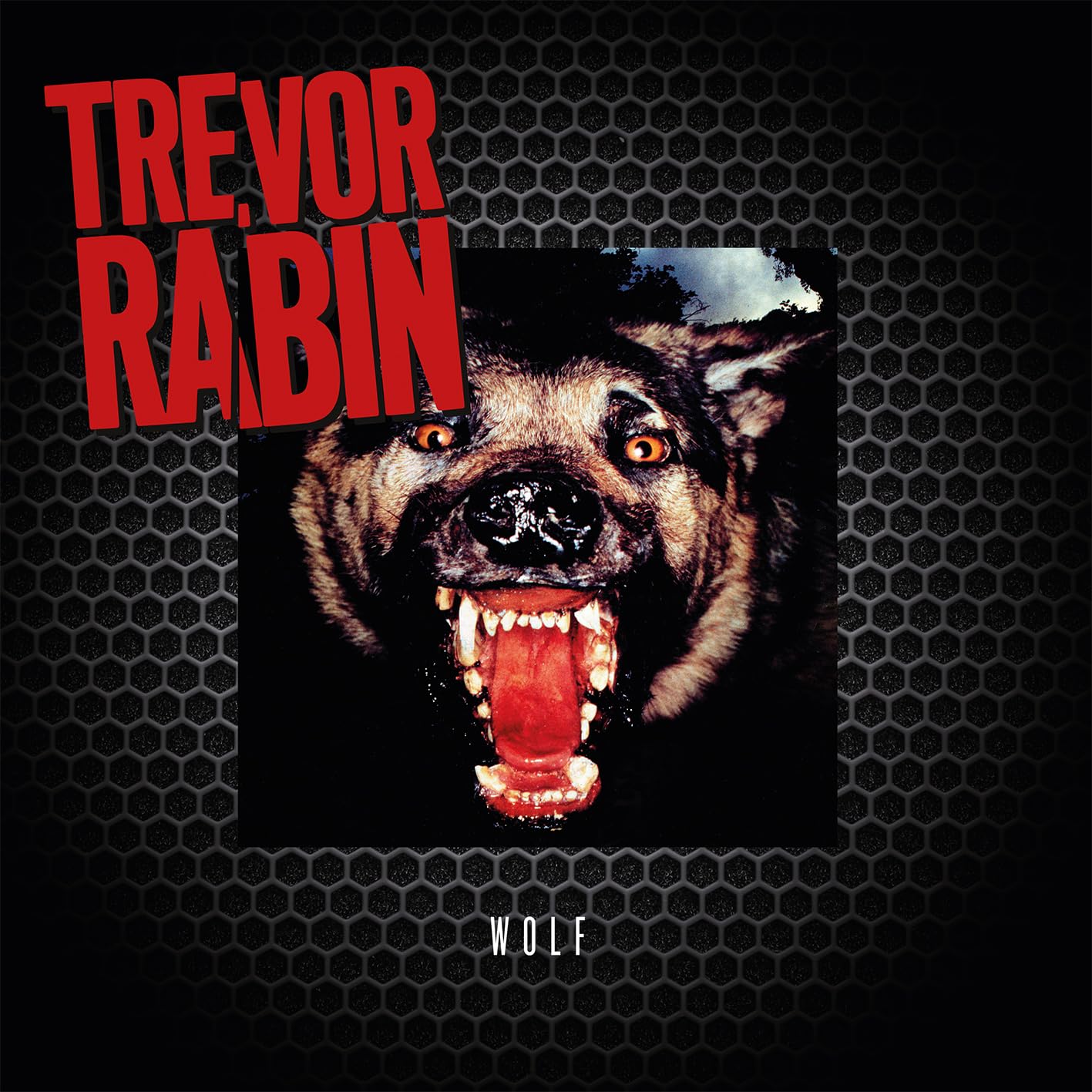 Trevor Rabin - Wolf (Can) [LP] Vinyl Record Album Cover