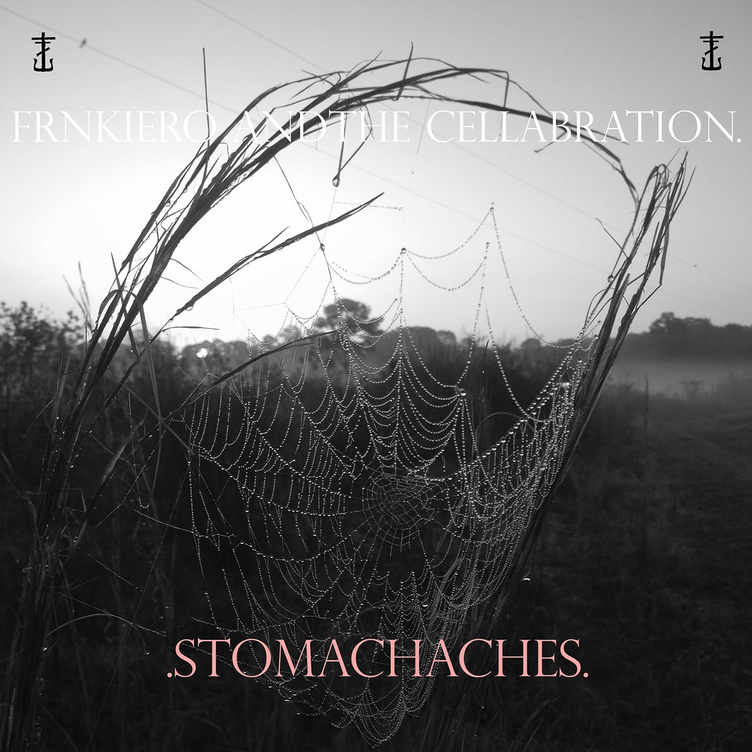 Frnkiero & The Cellabration - Stomachaches [LP] Vinyl Record Album Cover
