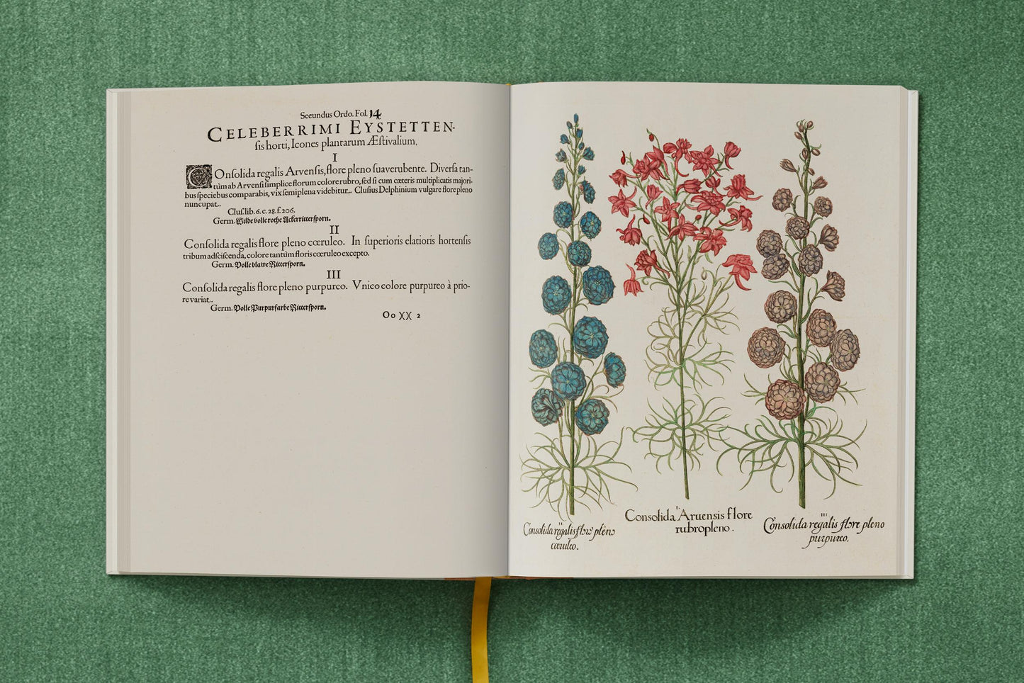 Basilius Besler. The Garden at Eichstätt (German, French, English) (FFE) Book