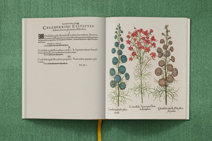 Basilius Besler. The Garden at Eichstätt (German, French, English) (FFE) Book