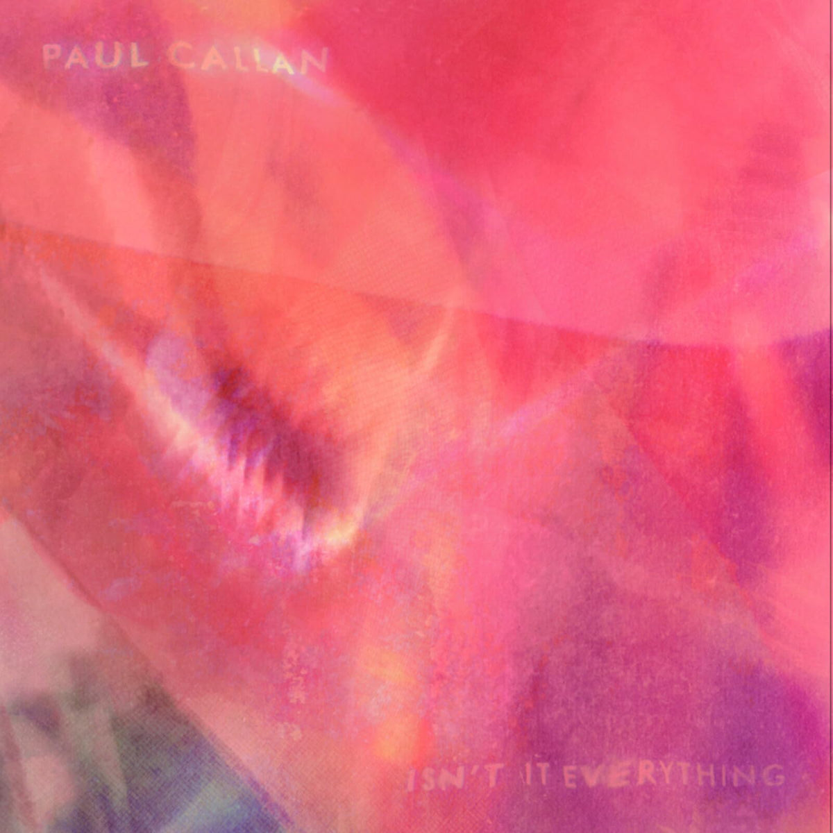 Paul Callan - Isn't It Everything (Uk) [LP] Vinyl Record Album Cover