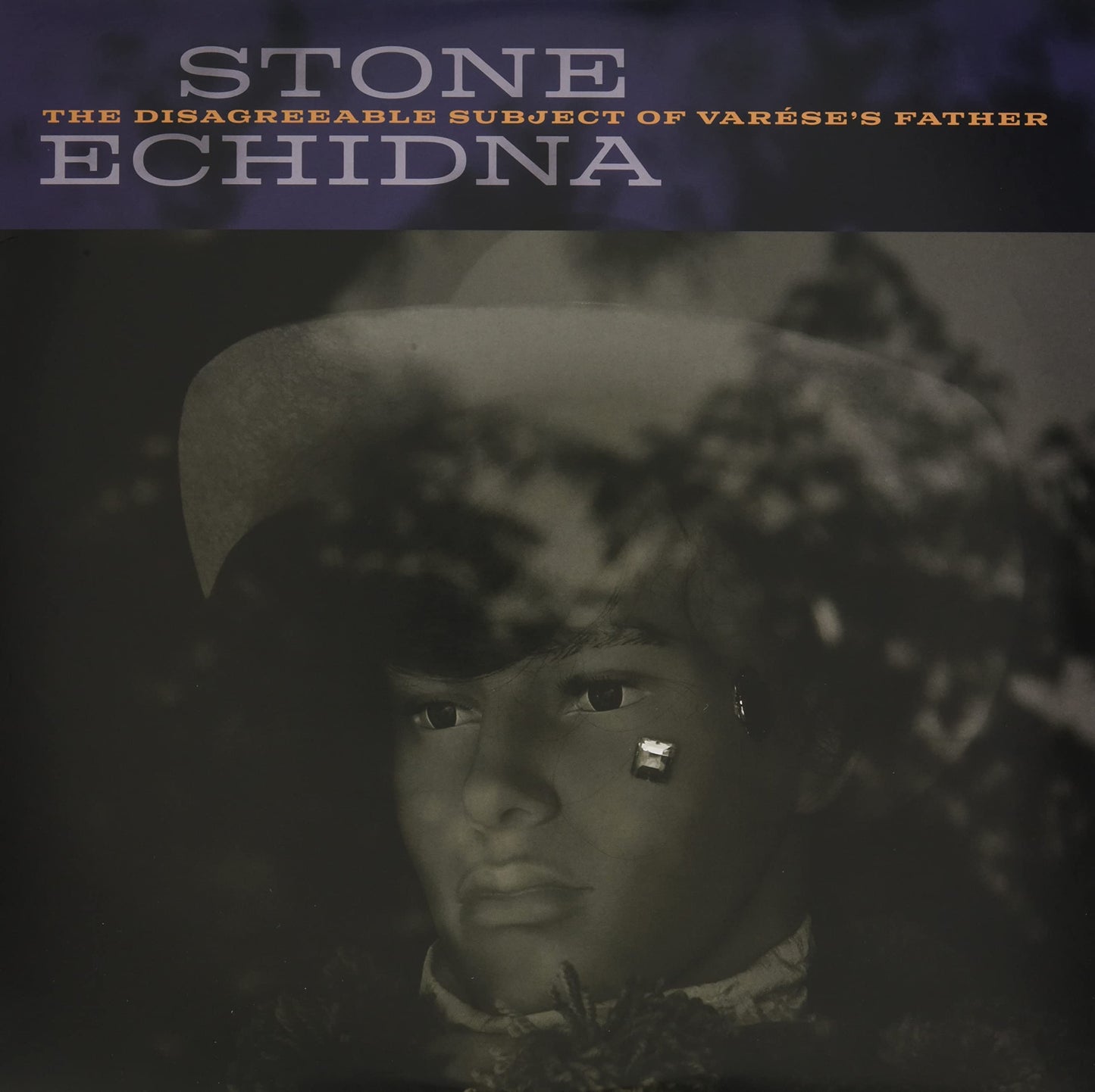 Stone Echidna - Disagreeable Subject Of Varese's Father [LP] Vinyl Record Album Cover