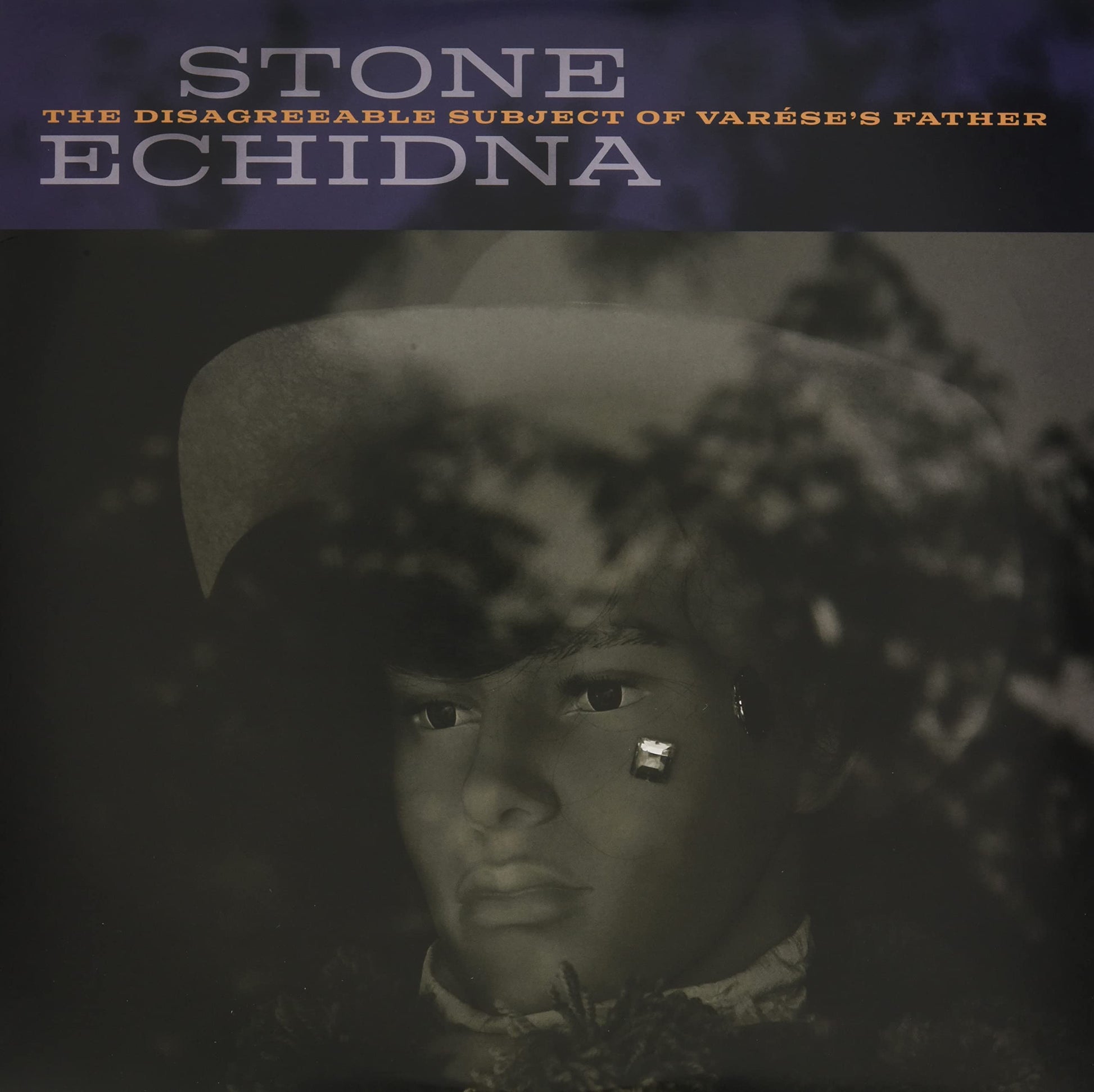 Stone Echidna - Disagreeable Subject Of Varese's Father [LP] Vinyl Record Album Cover