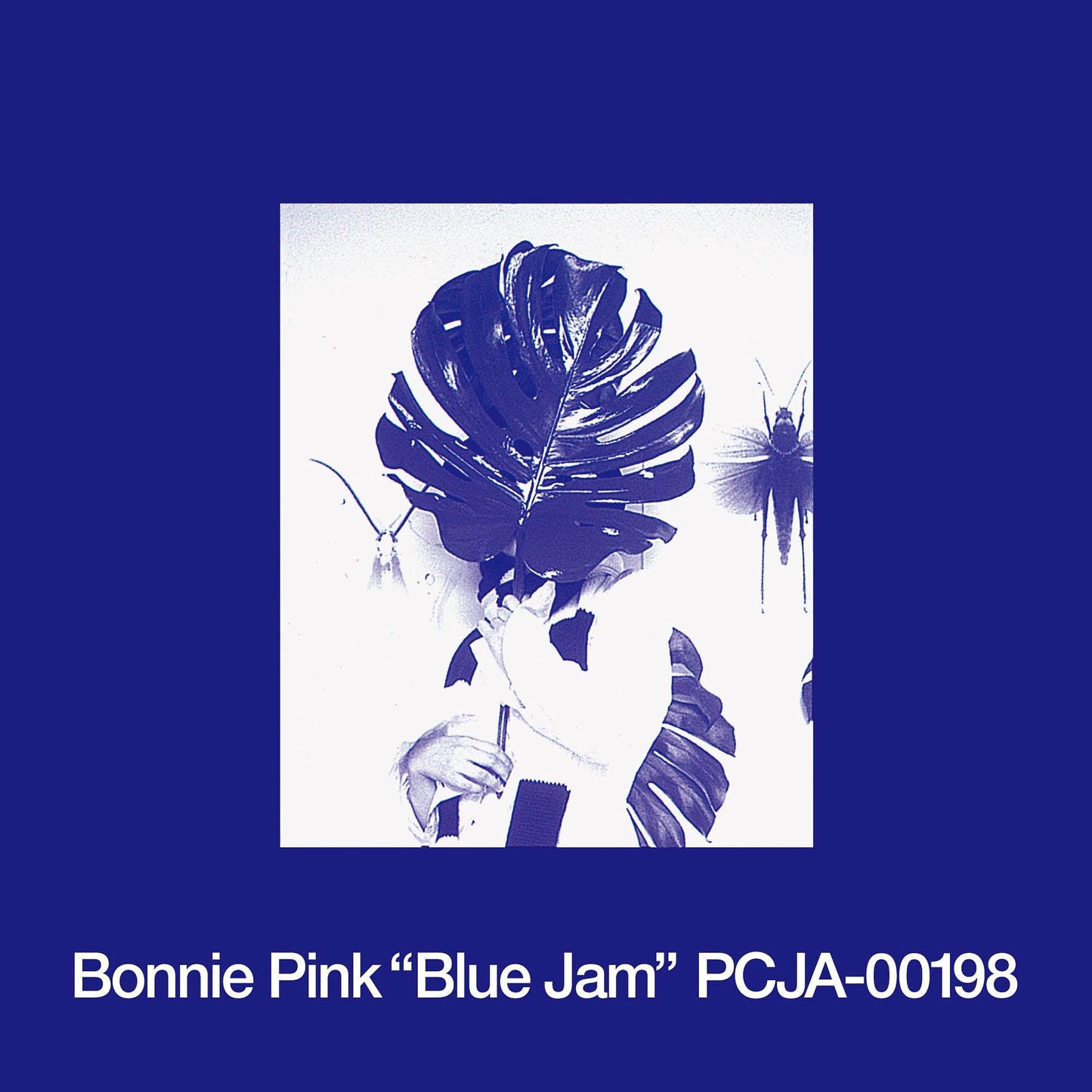 Bonnie Pink - Blue Jam (Jpn) [LP] Vinyl Record Album Cover