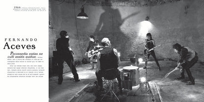 Rolling Stones 50x20
