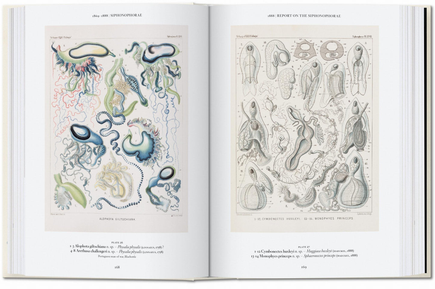 The Art and Science of Ernst Haeckel. 45th Ed. (English) Book