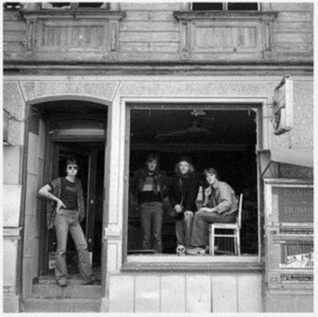 Demented Perverts Vinyl Record