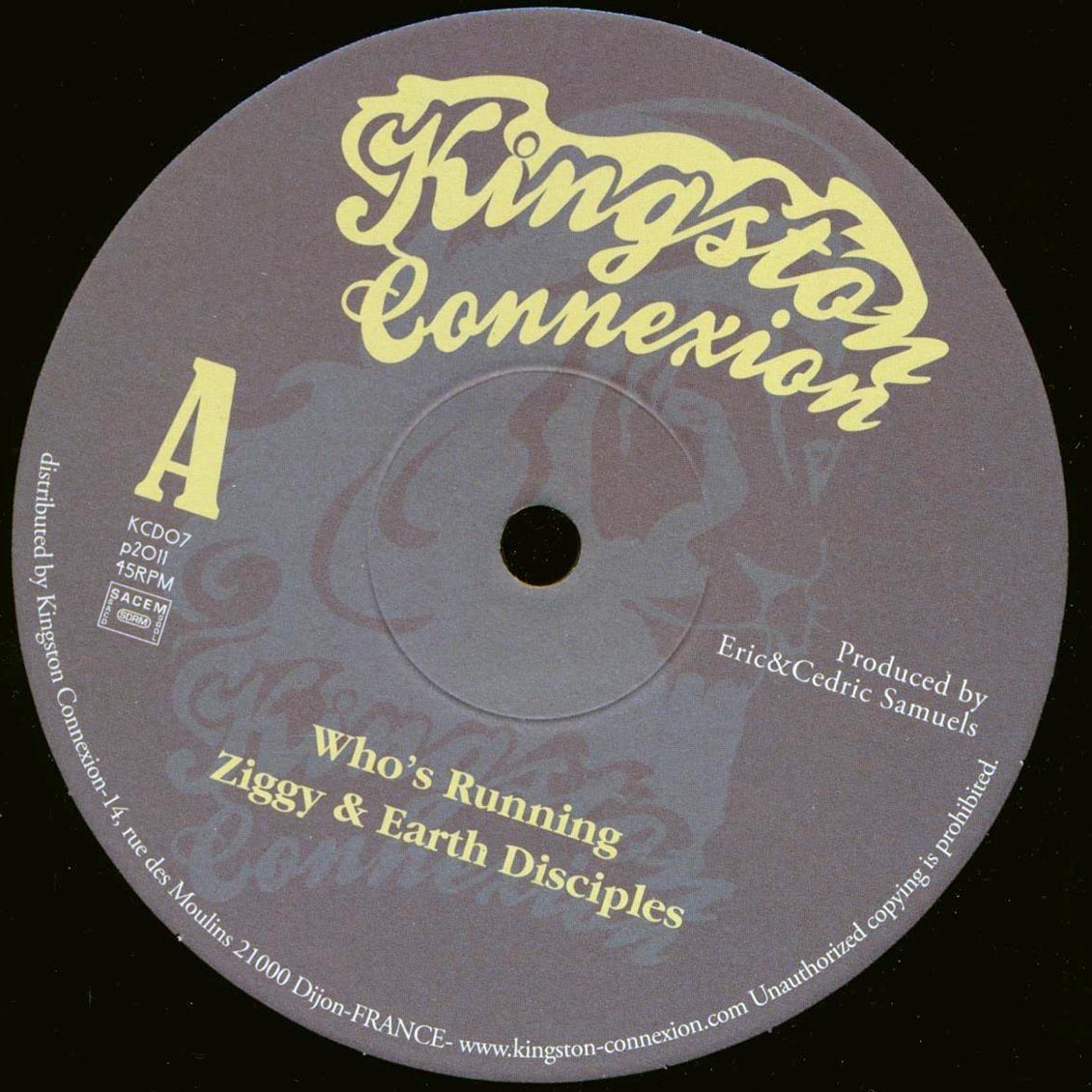 Ziggy & Earth Disciples - Who's Running  /  Version 10" Vinyl Record