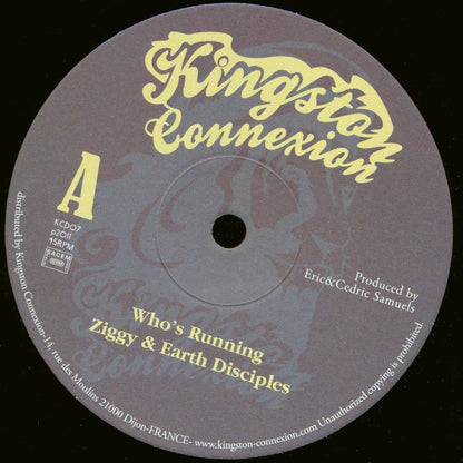 Ziggy & Earth Disciples - Who's Running  /  Version 10" Vinyl Record