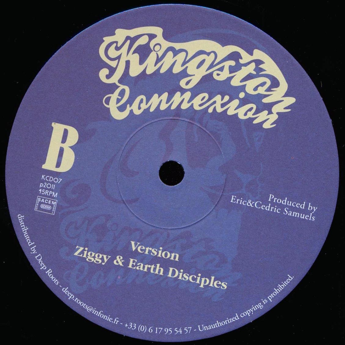 Ziggy & Earth Disciples - Who's Running  /  Version 10" Vinyl Record
