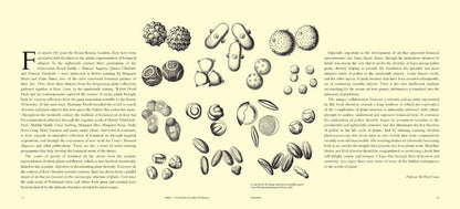 Pollen