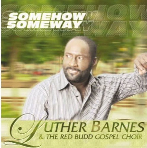 the album cover for Luther Barnes & The Red Budd Gospel Choir - Some How Some Way