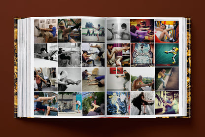 Ai Weiwei. Updated Edition (German, French, English) Book