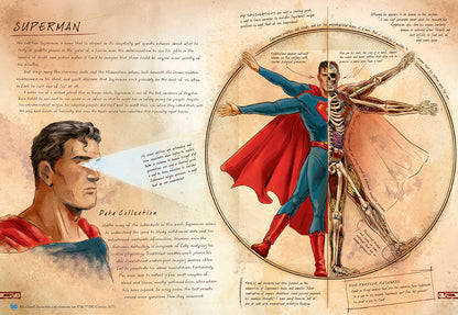 DC Comics: Anatomy of a Metahuman