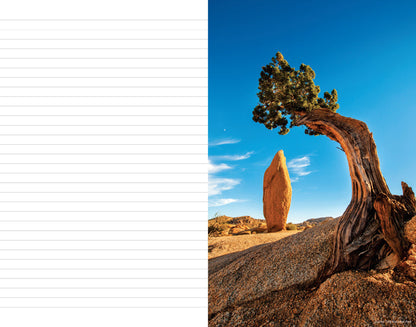 The National Parks: An Inspirational Journal