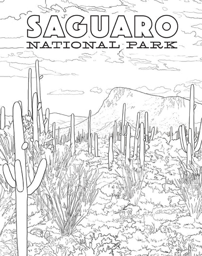 The National Parks Poster Coloring Book