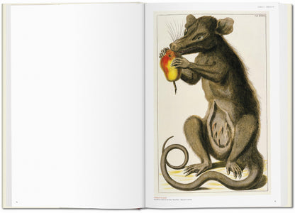 Seba. Cabinet of Natural Curiosities (German, French, English) Book