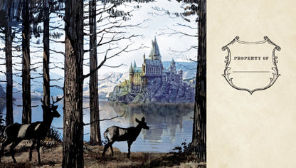 Harry Potter: Hogwarts Ruled Pocket Journal [Reformat]
