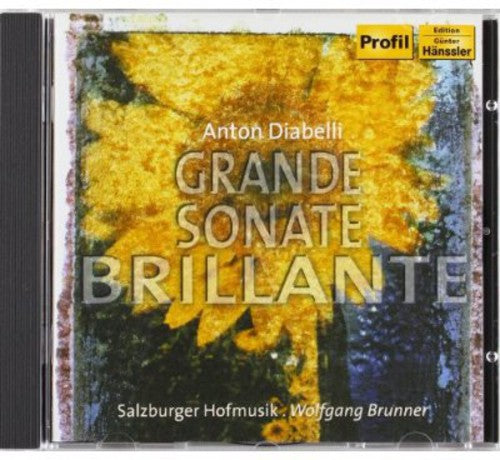 Diabelli / Brunner / Salzburger Hofmusik - Grand Sonata Brillante - Music CD