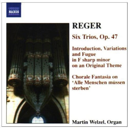 Reger / Wetzel - Organ Works 6 - Music CD
