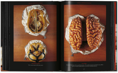 Anatomical Waxes. 45th Ed. (German, French, English) Book