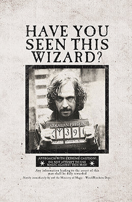 Harry Potter: Wanted Posters Pocket Notebook Collection (Set of 3)