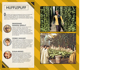 Harry Potter: Hufflepuff Ruled Pocket Journal