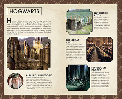 Harry Potter: Hogwarts Ruled Pocket Journal