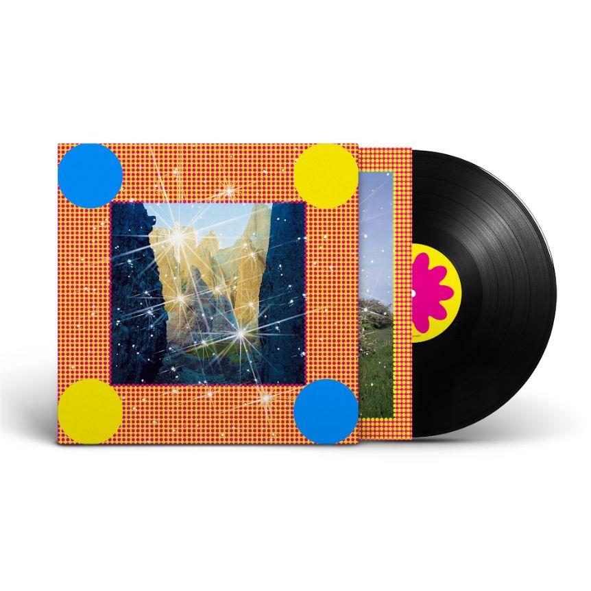 Caribou - Honey Vinyl Record