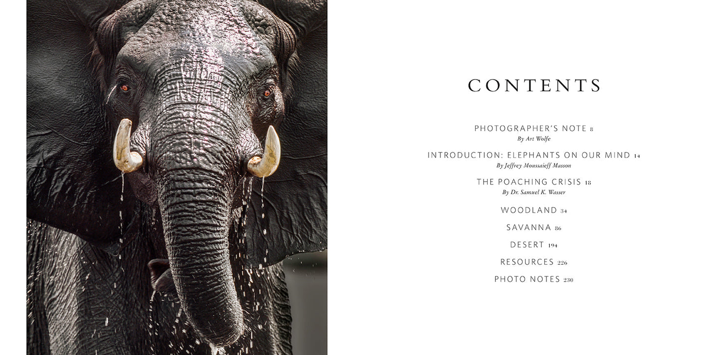 Wild Elephants