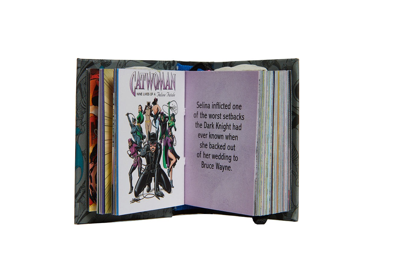 DC Comics: Villains of Gotham City