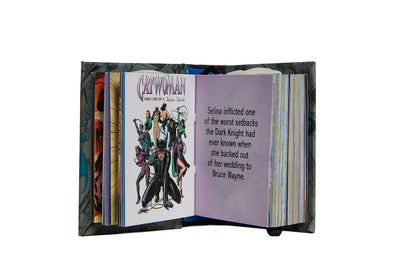 DC Comics: Villains of Gotham City