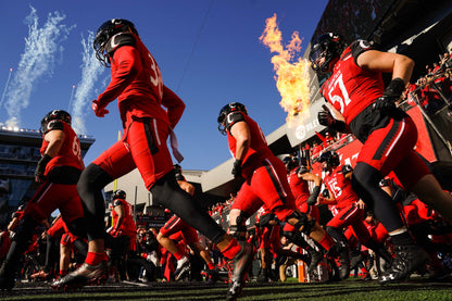 Breaking Down Barriers: How the Cincinnati Bearcats Crashed the College Football Playoff Party Book