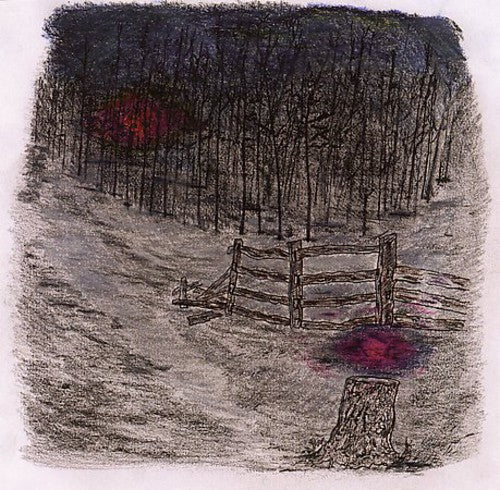Telepathe - Farewell Forest - Music CD