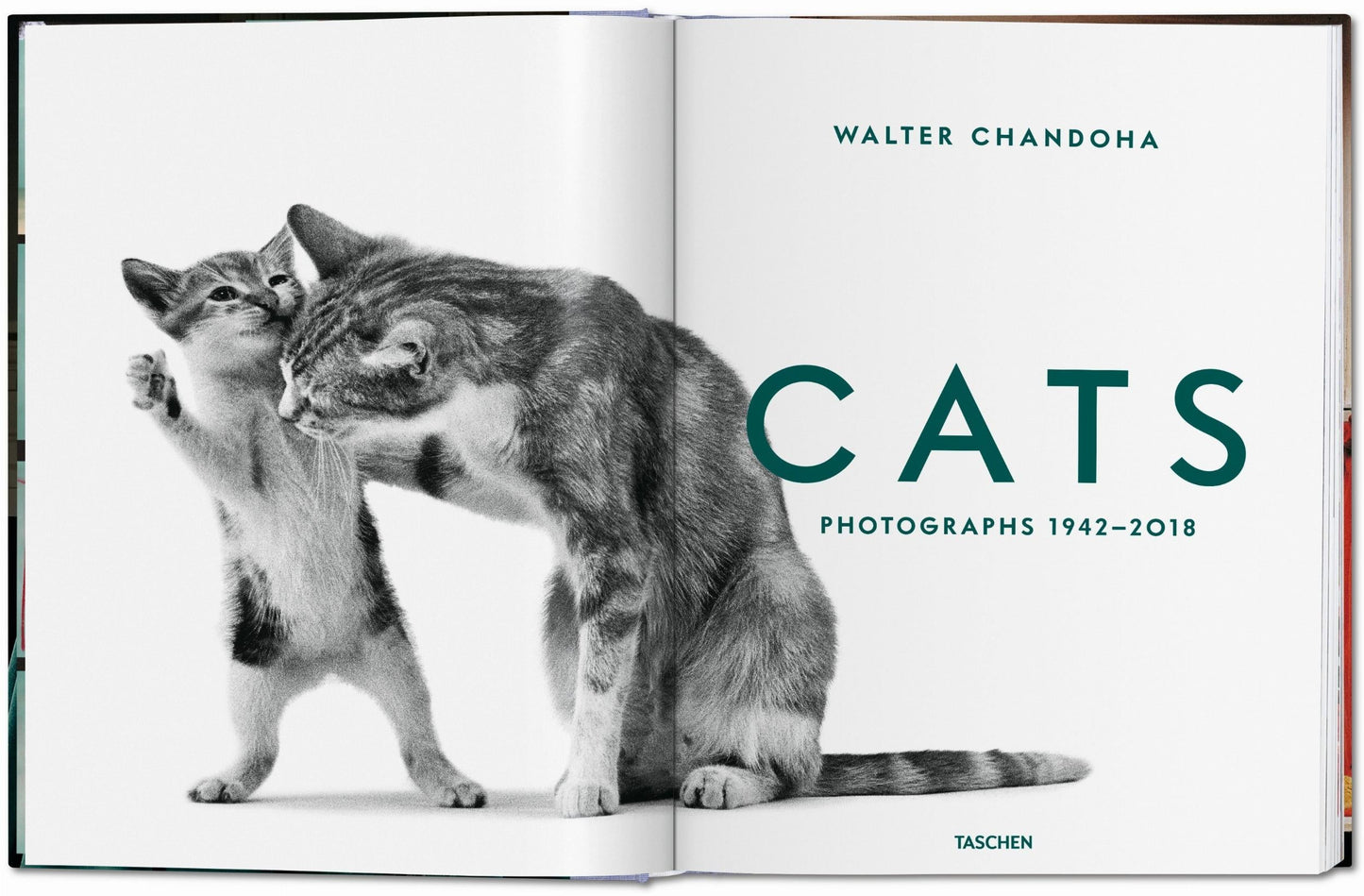 Walter Chandoha. Cats. Photographs 1942–2018 (German, French, English) Book