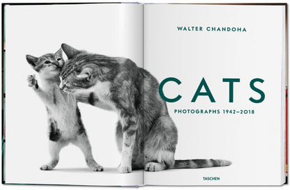 Walter Chandoha. Cats. Photographs 1942–2018 (German, French, English) Book