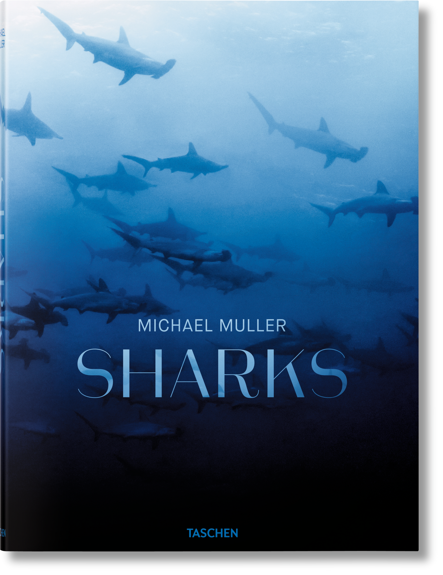 Michael Muller. Sharks (English) Book