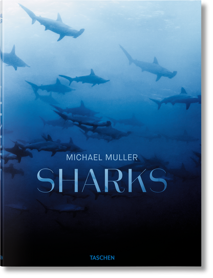 Michael Muller. Sharks (English) Book