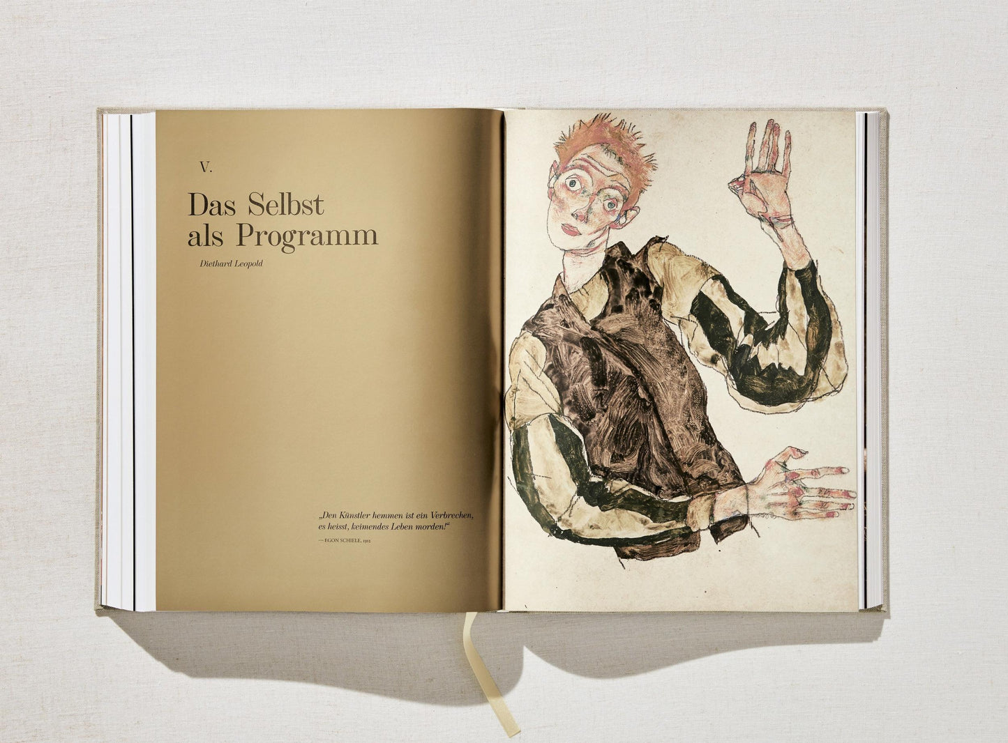 Egon Schiele. The Complete Paintings 1909–1918 (English) Book